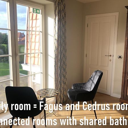 Bed and Breakfast Cedrus Jabbeke  Esterno foto