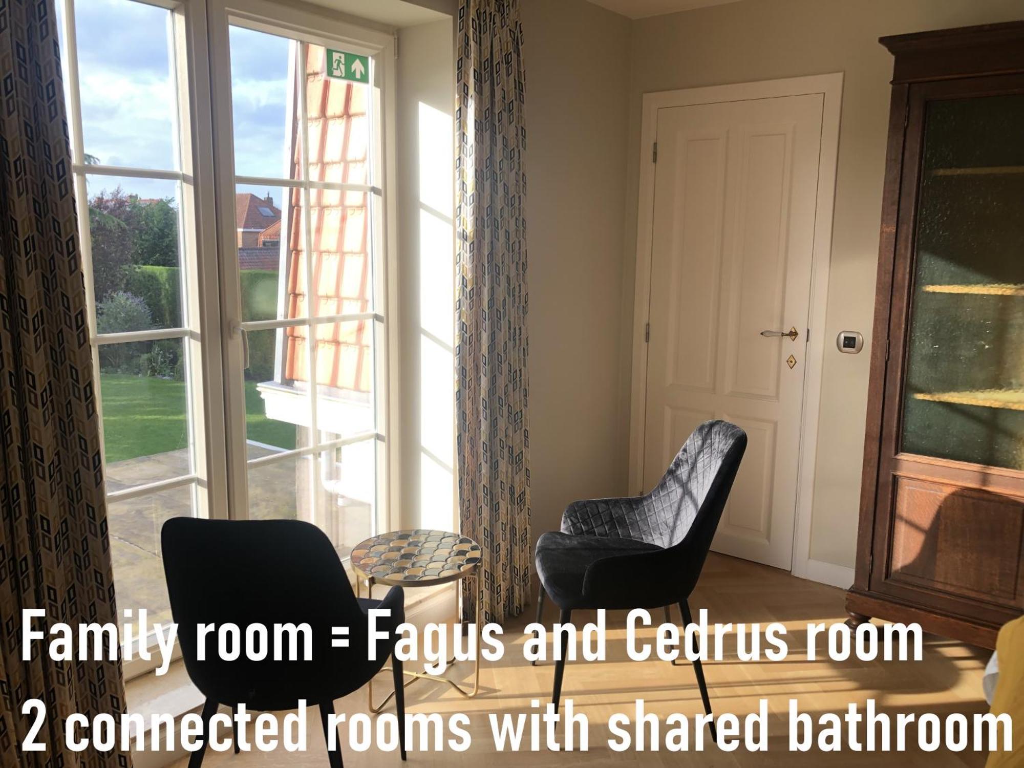 Bed and Breakfast Cedrus Jabbeke  Esterno foto
